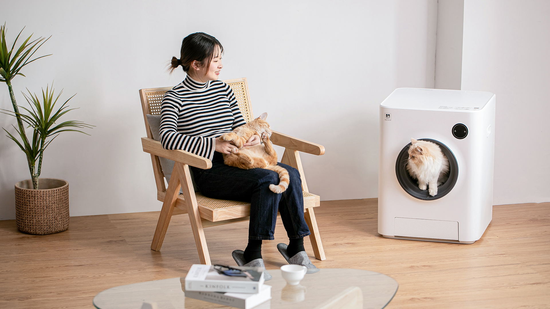 Amazon | MWPO 猫自動トイレ スマートフォン対応 自動清掃 オゾン消臭