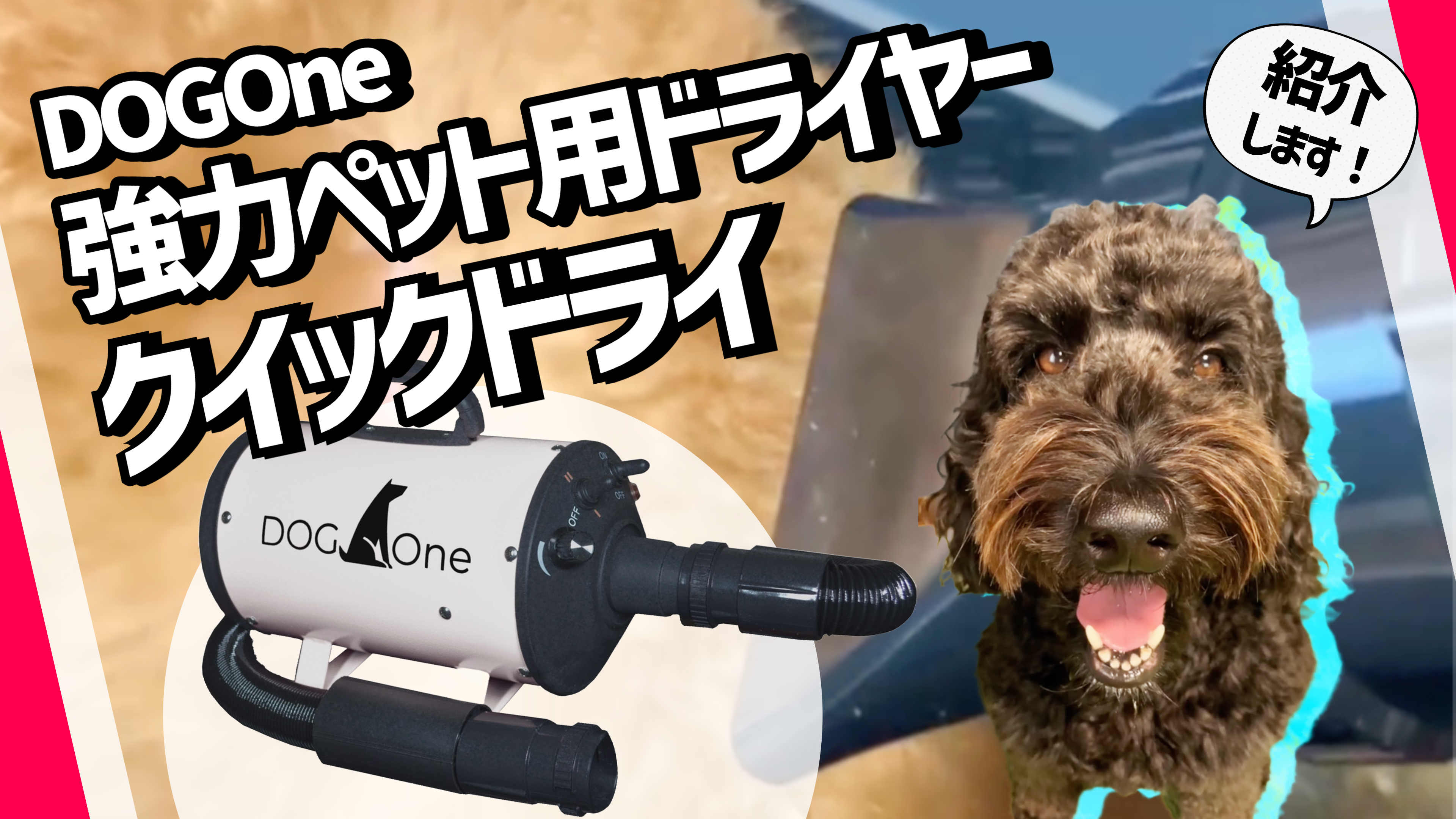 Amazon.co.jp: DOG One ペットドライヤー 犬 ブロワー 業務用