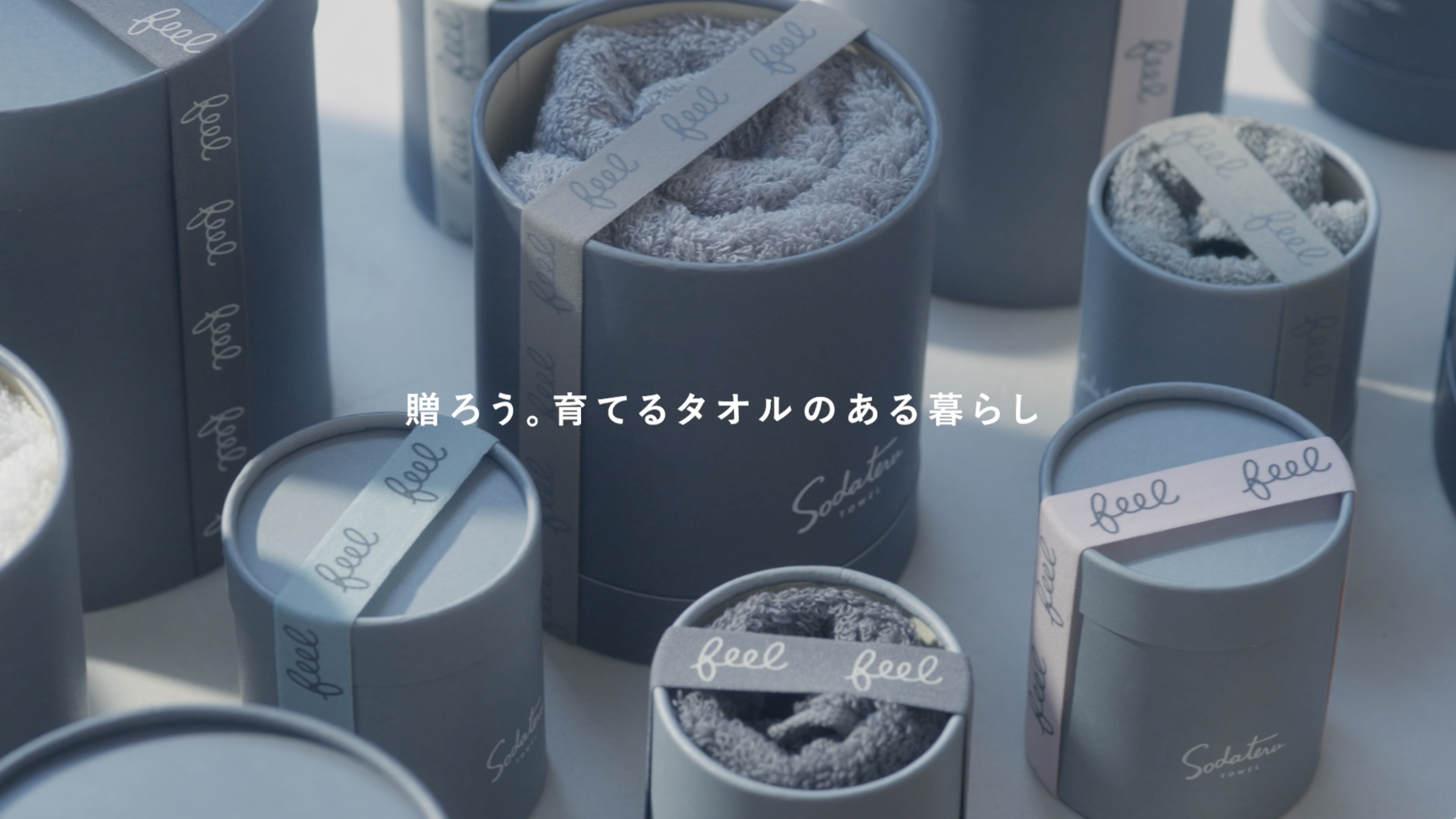 Amazon｜育てるタオル feel フェイスタオル 誕生日プレゼントや