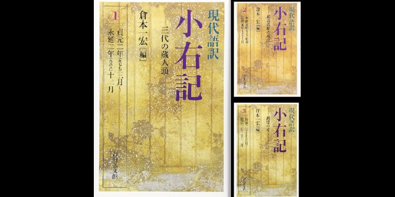 現代語訳 小右記 (全16巻) Kindle版