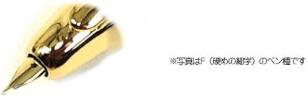 Amazon | パイロット 万年筆 キャップレス ペン種：18K ノック式／軸色