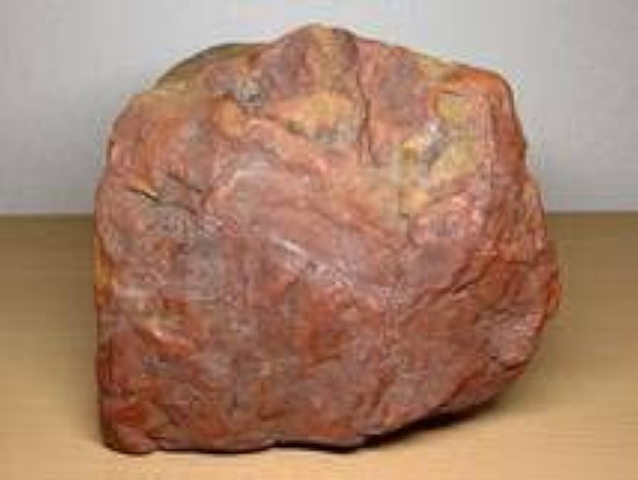 赤石 原石 魚顔 約6.2kg 天然石 自立 未加工 鑑賞用 水石 希少 レア