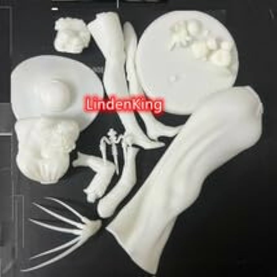 バイオハザード ダニエラ・ドミトレスク フィギュア ガレージキット 通常盤