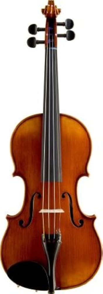 美虎杢】SUZUKI NO.520 1/2 バイオリン スズキ 1992年製 美虎杢