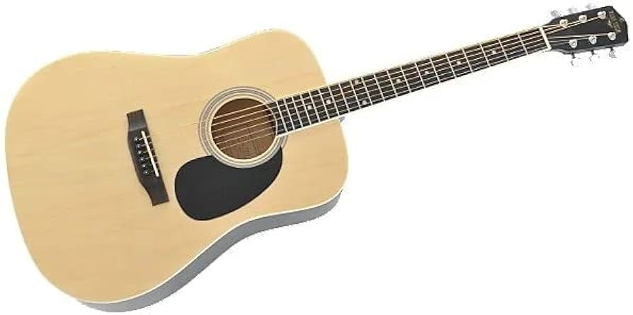 Amazon | PLAYTECH (プレイテック) アコースティックギター ドレッド