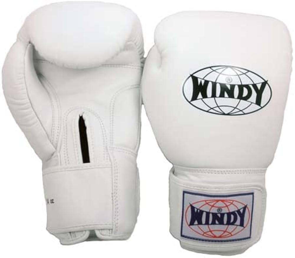 Amazon.co.jp: WINDY ボクシンググローブ BGVH 10オンス ホワイト