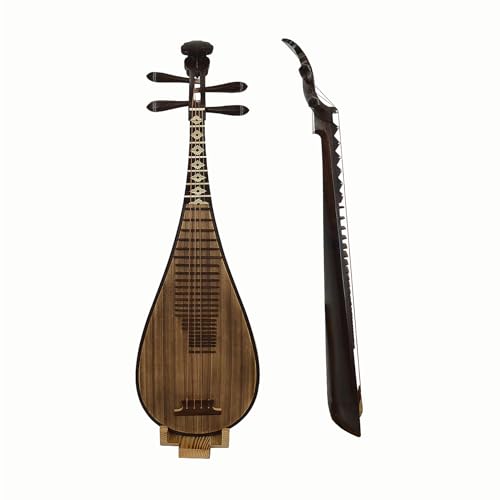 琵琶 楽器」の人気商品一覧 | 安い商品を通販サイトから探す - 価格.com