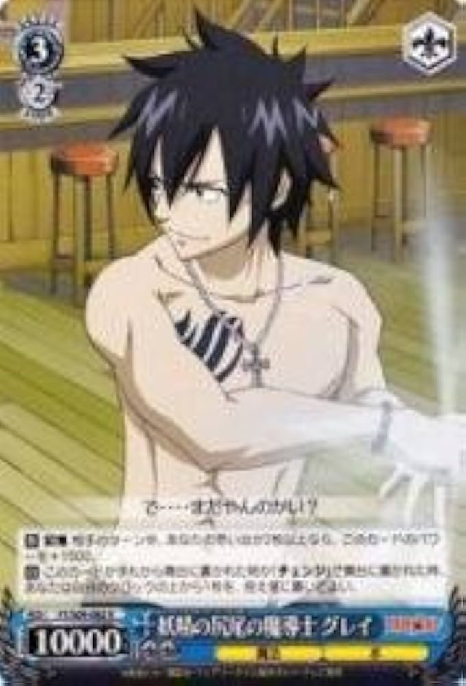 ヴァイス FAIRY TAIL 凍てつく魔法 グレイ SSP フェアリーテイル