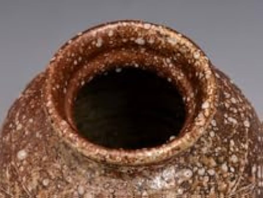 高橋楽斎(作) 信楽花壺 花瓶 共箱 共布 花器 花生 花入