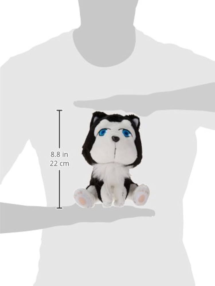 Amazon.com: Great Eastern GE-52569 Kuroko's Basketball 8.5