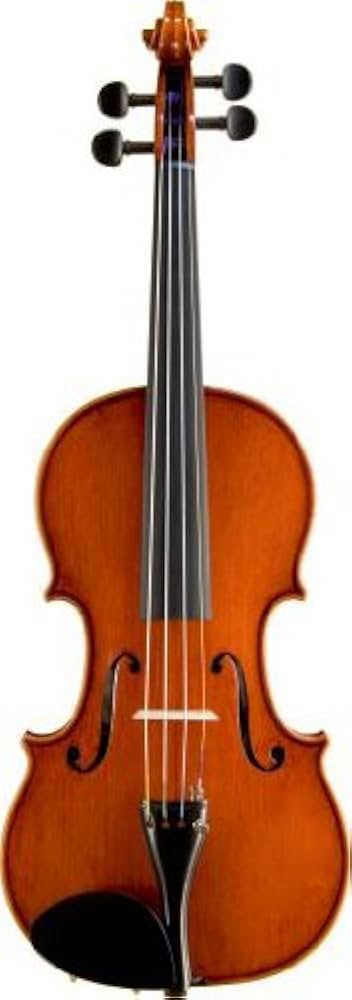 SUZUKI スズキ バイオリン No.540 4/4 Anno1993 虎杢 SUZUKI スズキ