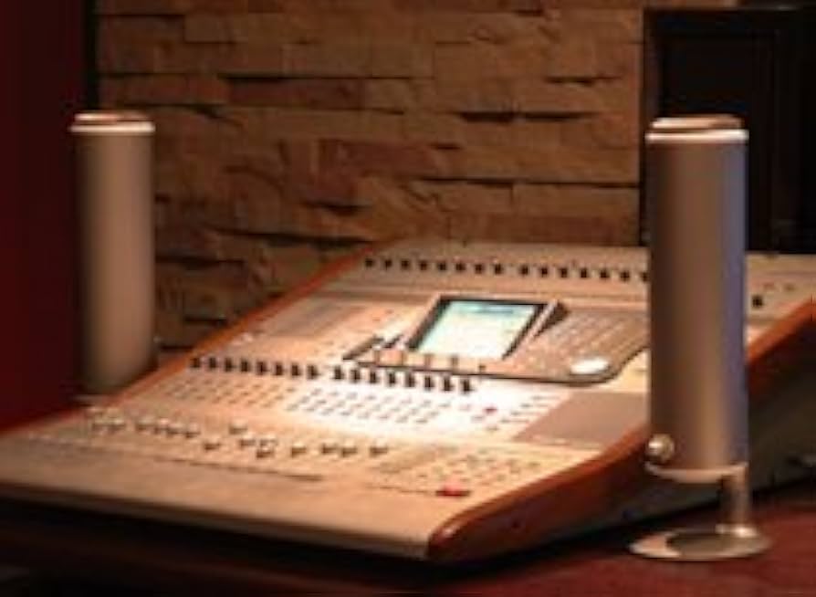 Amazon.co.jp: BauXar ボザール Jupity301 ジュピティ301 アンプ内蔵