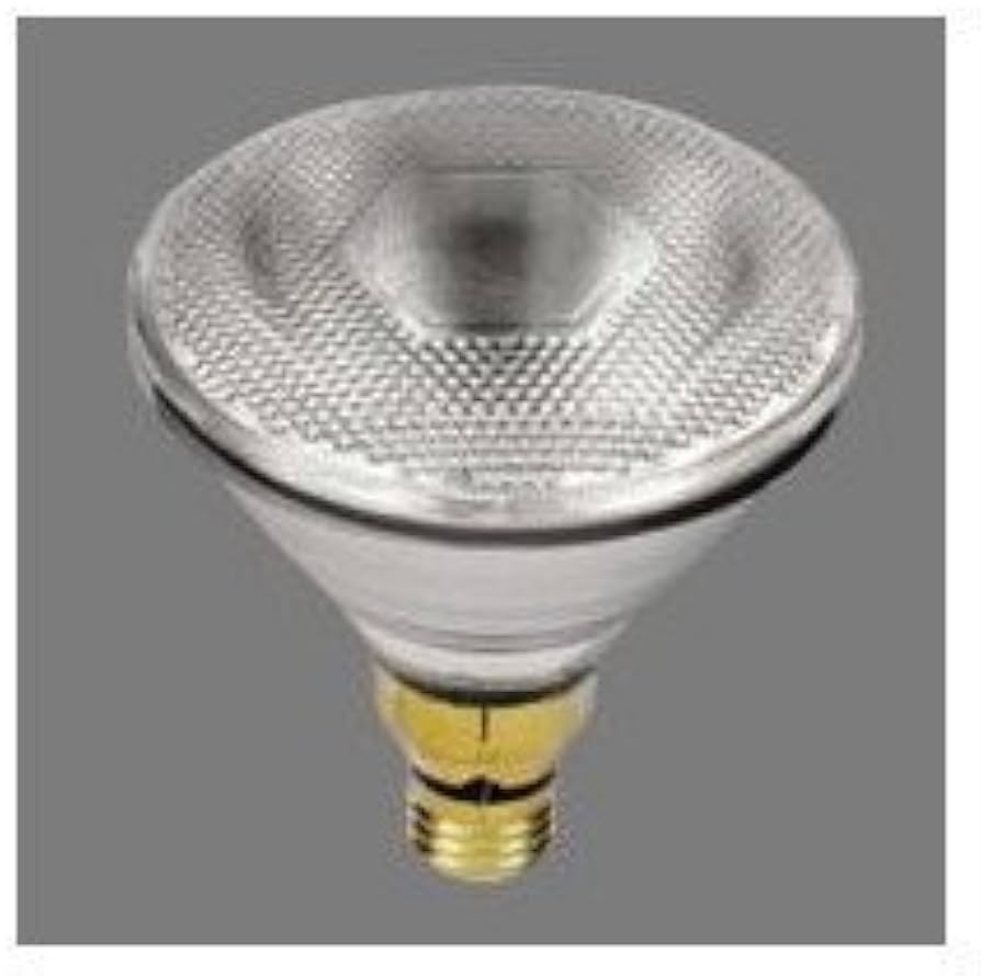 Amazon.co.jp: ハイビーム電球75ワット形 集光系 BS100V60W : ホーム