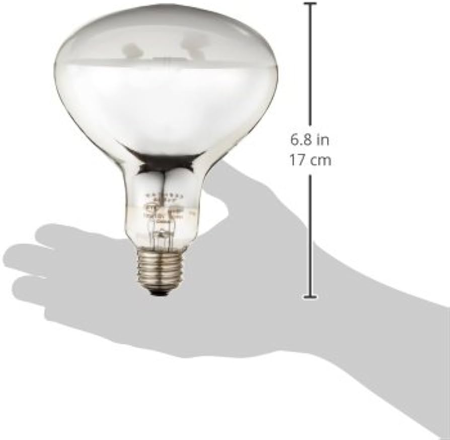 Amazon | 岩崎電気 アイ セルフバラスト水銀ランプ BHRF100/110V160WH