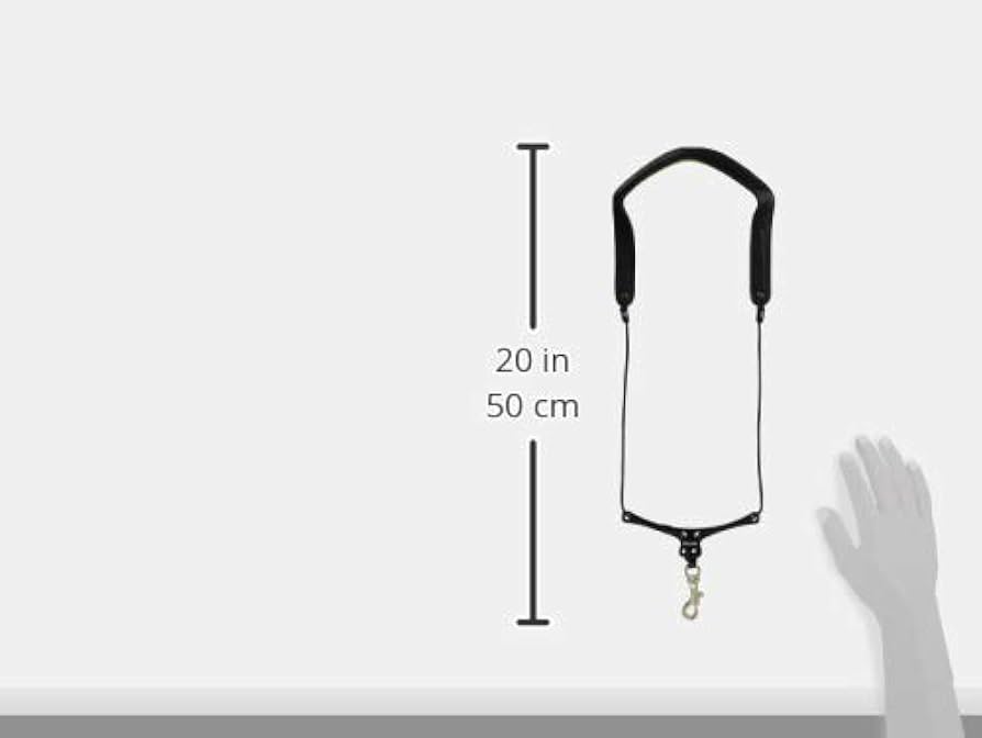 Amazon.co.jp: B.AIR ビーエアー BIRD STRAP サックス用ストラップ
