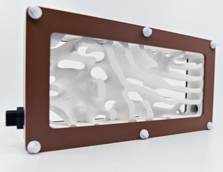 Hybrid Nest 2 side type Wood ・ガラスアリ飼育ケース Hybrid Nest 2