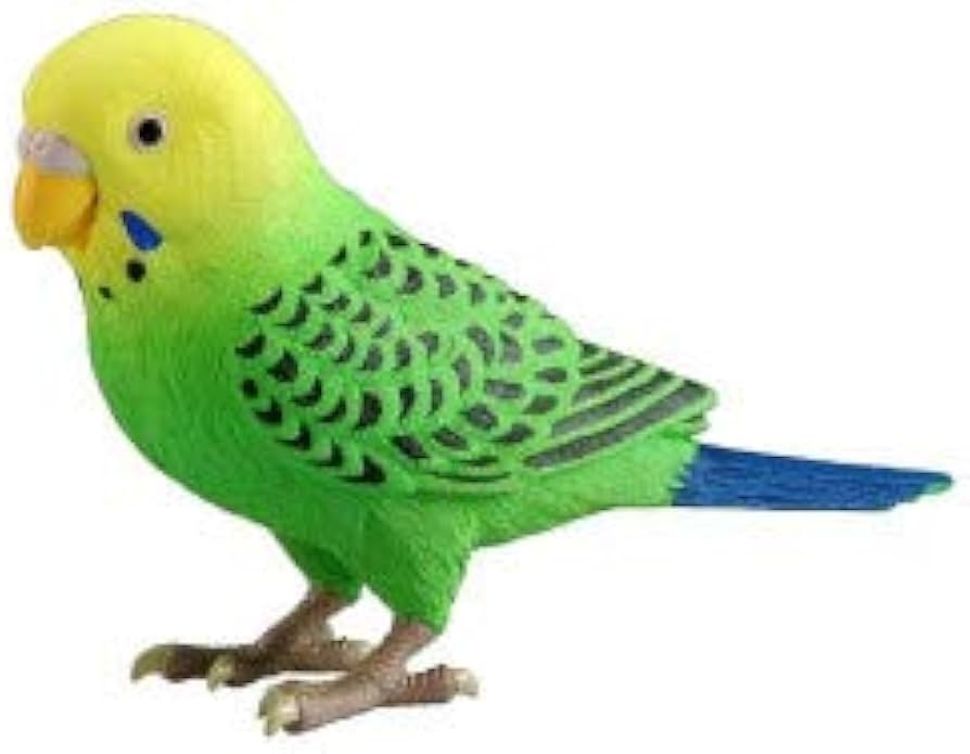 Amazon.co.jp: genius parakeet : Toys & Games