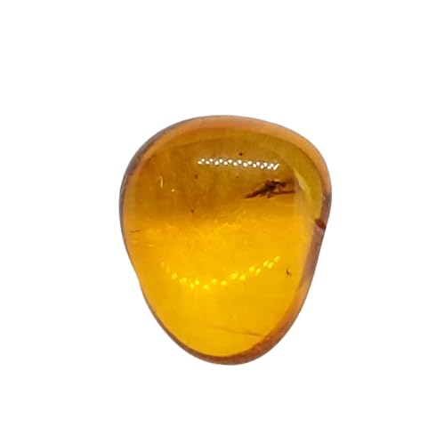 バルト海産 虫入り琥珀 12個セット 全て虫入り 本物保証 良い