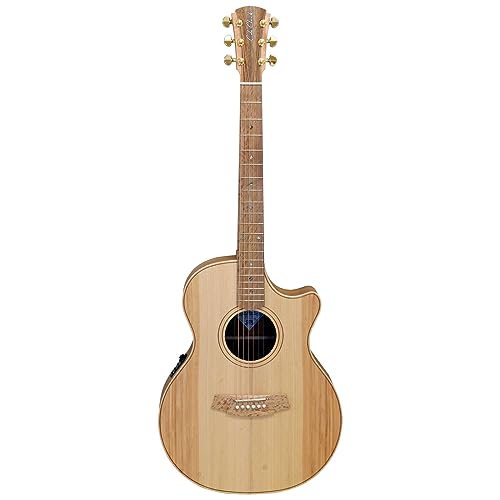 Amazon | Cole Clark (コール・クラーク) カッタウェイ・グランド