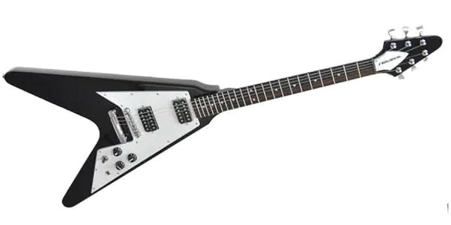 バークレー フライングVタイプ ギター 【公式通販】