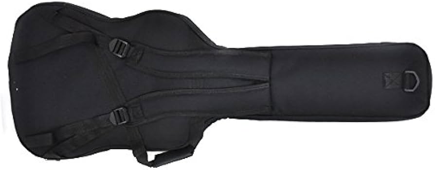 Amazon | 【国内正規品】 FERNANDES フェルナンデス エレキギター用