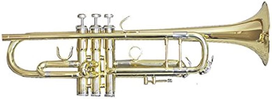 Amazon.co.jp: 【国内正規品】 PLAYTECH プレイテック トランペット