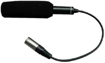 31UBWG3jt7L._AC_UF350,