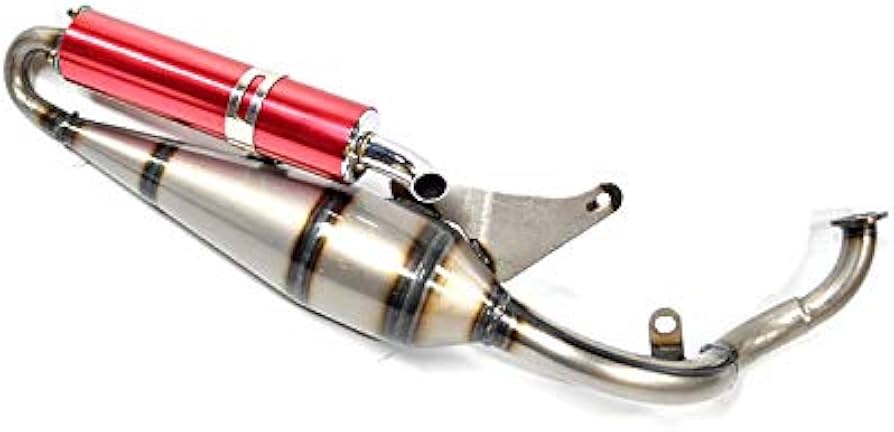 公式 ライブディオ ZX チャンバー 2本出し 希少 dio にいちゃん ライブ