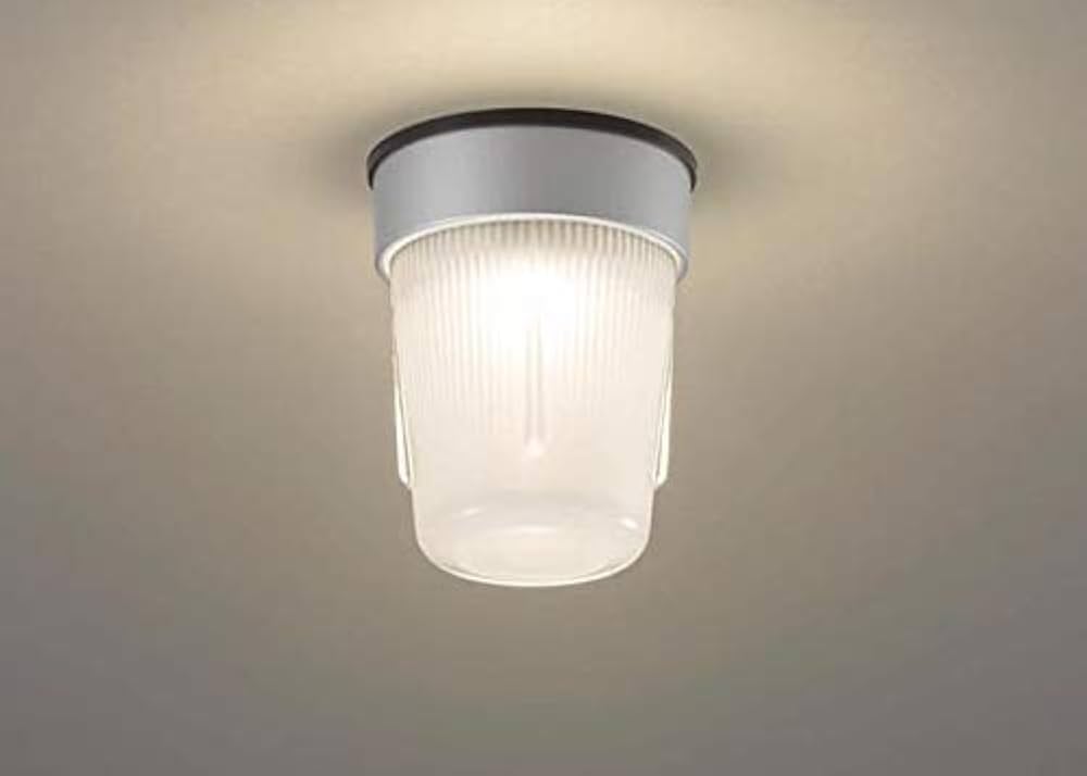 Amazon.co.jp: パナソニック 業務用レンジフード向けLED照明器具 全