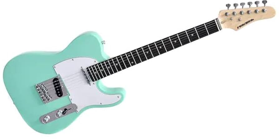 エレキギター【playtech】増幅機【VOX】 エレキギター【playtech】増幅