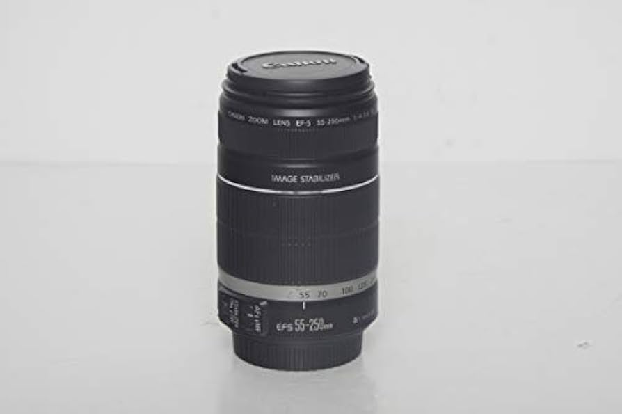 Amazon.com : Canon EF-S 55-250mm f/4-5.6 is II Telephoto Zoom Lens