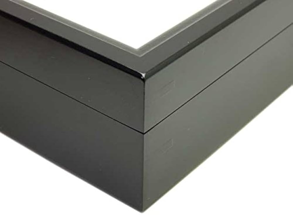 Amazon.co.jp: 【薄型55】大型ドイツ型標本箱（黒） : おもちゃ