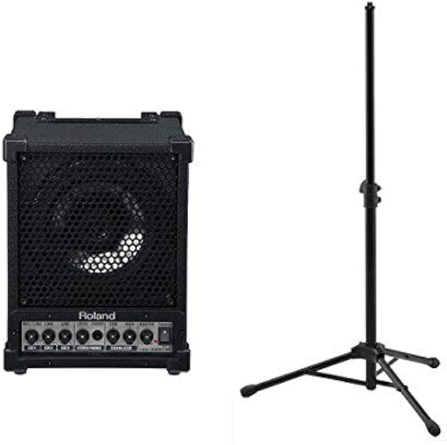 818 ROLAND CUBE monitor CM-30 モニタースピーカー 818 ROLAND CUBE