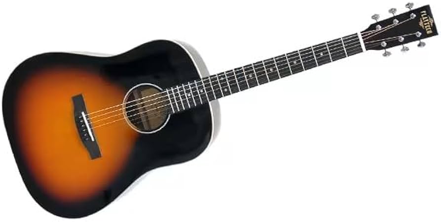 Amazon | PLAYTECH (プレイテック) アコースティックギター スロープ