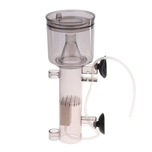 NEWA フィルター・ポンプセット プロテインスキマー プロテイン