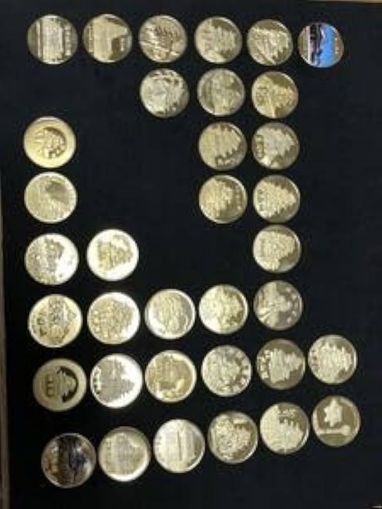 Amazon.co.jp: 100名城城コンプリート記念メダル茶平工業 : おもちゃ