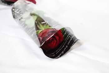 佐藤薔薇47本 佐藤薔薇47本 佐藤薔薇47本 佐藤薔薇47本 佐藤薔薇47本