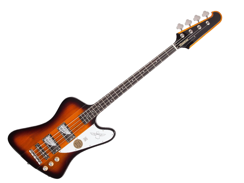 Amazon.com: Epiphone Thunderbird E1, Electric Bass Guitar