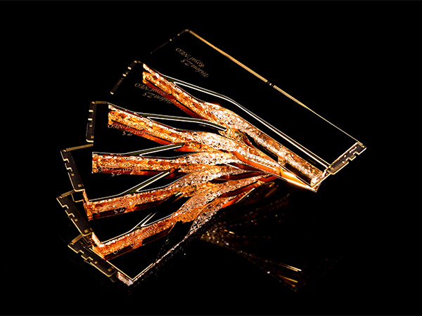 G.SKILL Trident Z5 Royal Neo Series DDR5 RAM (AMD Expo) 32GB