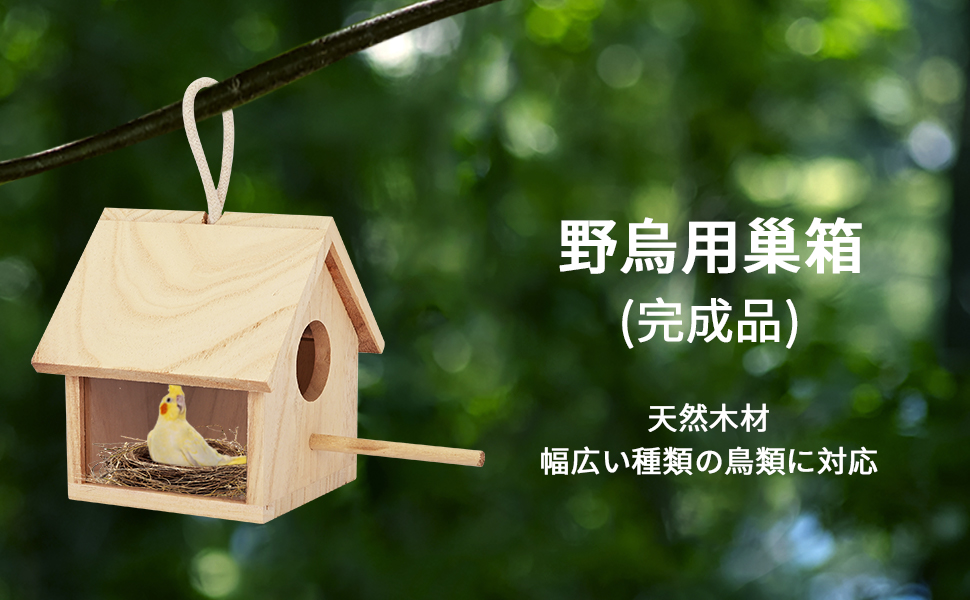 Amazon.co.jp: aleawol 野鳥用巣箱 完成品 鳥の巣 透明な覗き窓付き