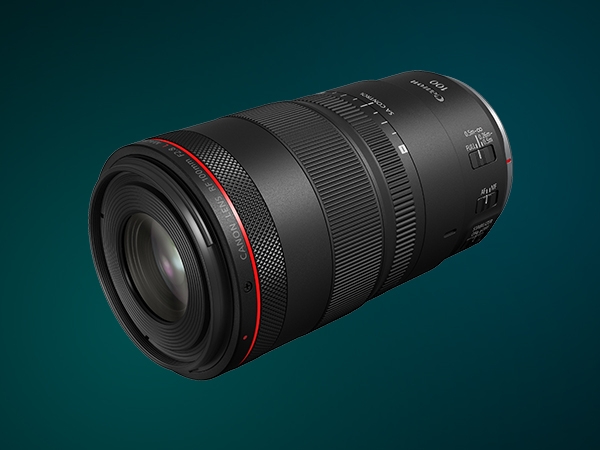 Amazon.com : Canon RF100mm F2.8 L Macro is USM Lens, Medium