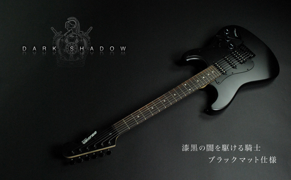 Amazon | SELDER セルダー エレキギター ストラトキャスタータイプ