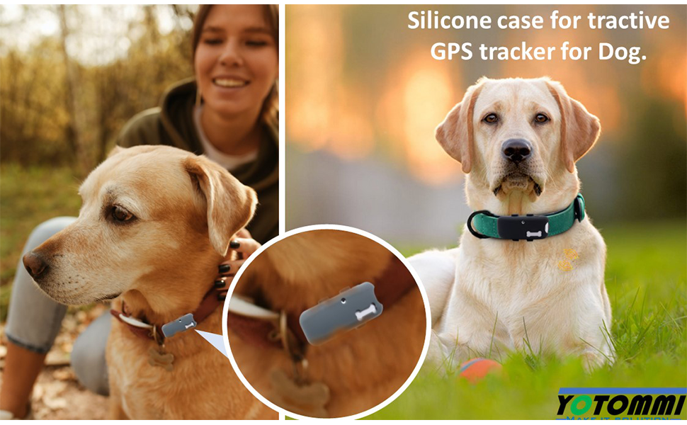 Amazon.com: 2 Pack Silicone Holder Compatible for Tractive GPS Pet