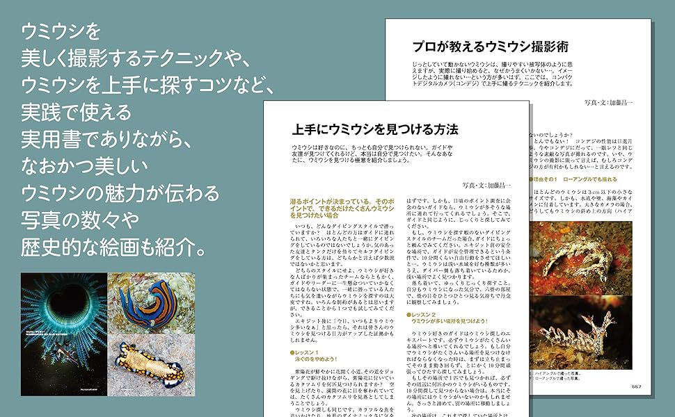 Amazon.co.jp: 新版 ウミウシ：特徴がひと目でわかる図解付き