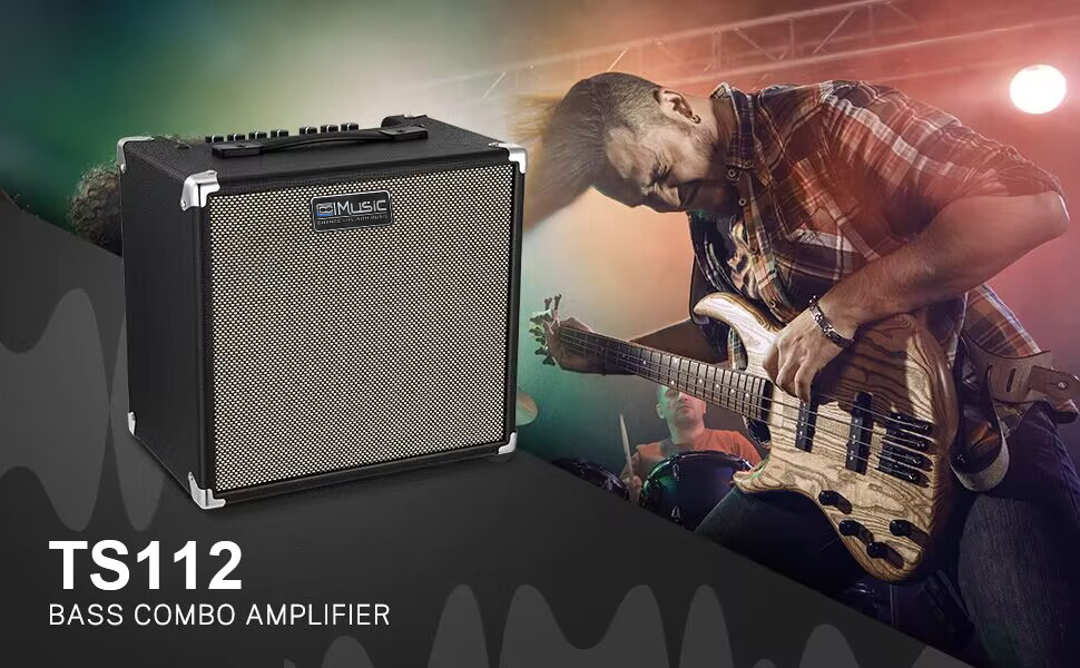 Amazon.com: TS112 Bass Guitar Amp 30W Electric Guitar Bass Combo
