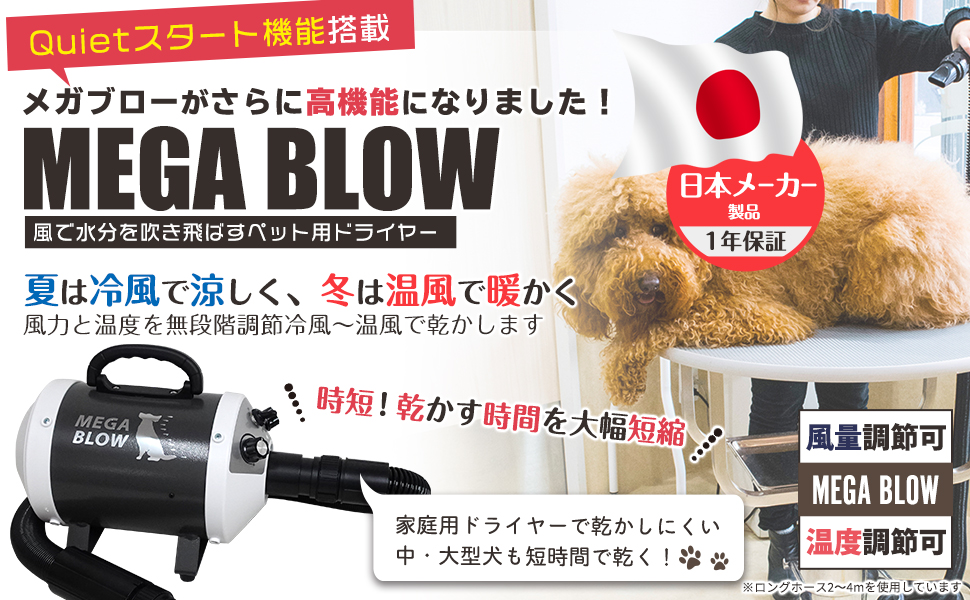 Amazon.co.jp: プロ愛用 発売13年 10年ユーザー多数 業務パワー 犬