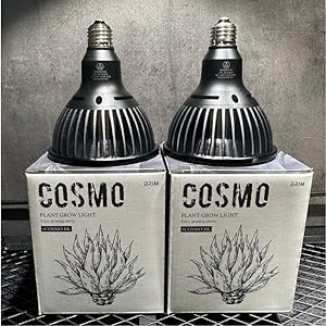 Amazon.co.jp: 【グリーンアドバイザー推薦】BRIM(ブリム) COSMO 植物