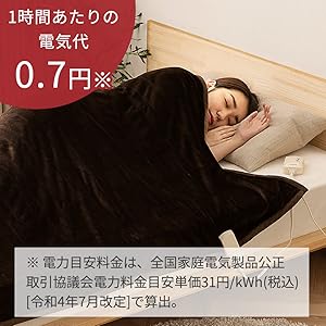 Amazon | アイリスオーヤマ 電気毛布 掛け敷き 180×130cm 洗える ダニ