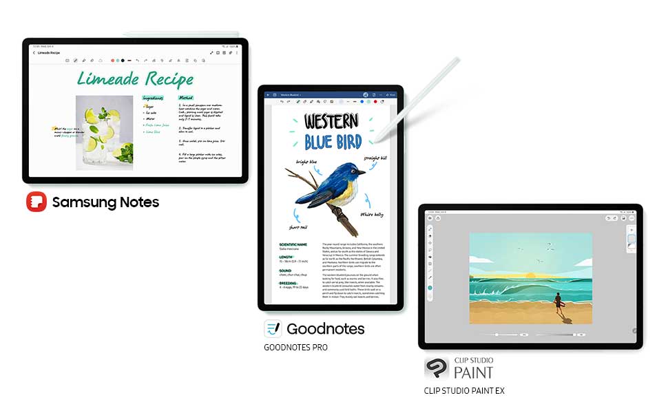 Amazon.co.jp: Galaxy Tab S9FE(Wi-Fiモデル)｜ミント｜タブレット