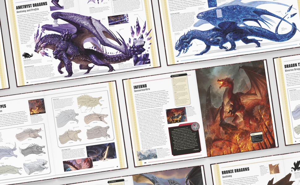 Dungeons & Dragons Magazine プレイングガイド V Dungeons & Dragons